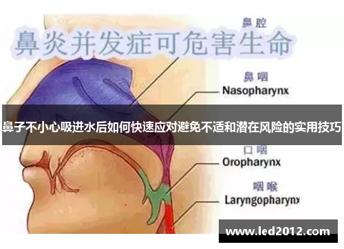 鼻子不小心吸进水后如何快速应对避免不适和潜在风险的实用技巧